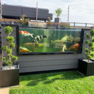 Koi tanks als voorgevormde vijver