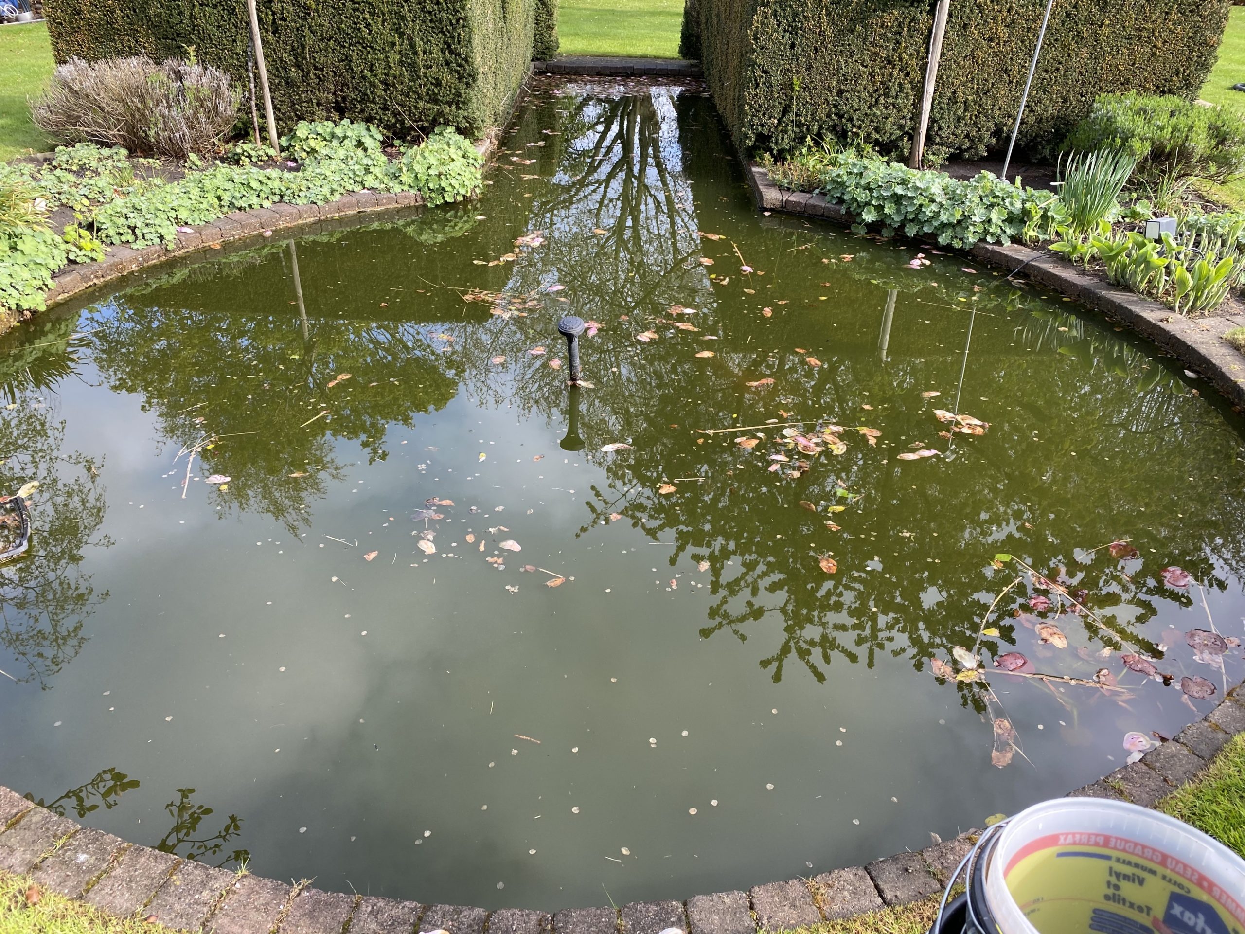Vijver met bladeren en troebel water die moet worden schoongemaakt voor de winter