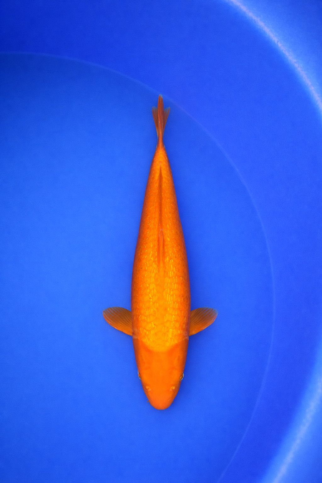 1a455b33-0860-439f-8b52-82d1d7c82bff