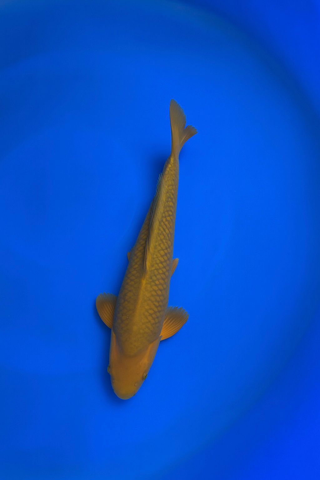 28db2fd0-a1c3-4bf5-93d9-2aed312359a5