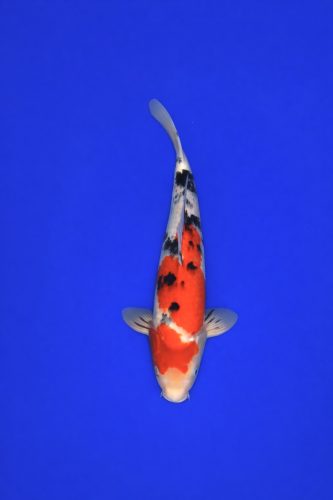 570AA028-E953-47BA-A9FC-F132BE1B0F20