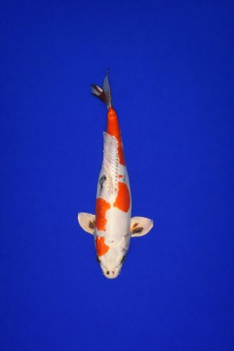 79b212d6-fe42-4af3-bdbf-efa11ca9c8c9