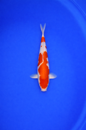 9DF1CD70-9CA6-4E2C-814E-07479F04CBBD