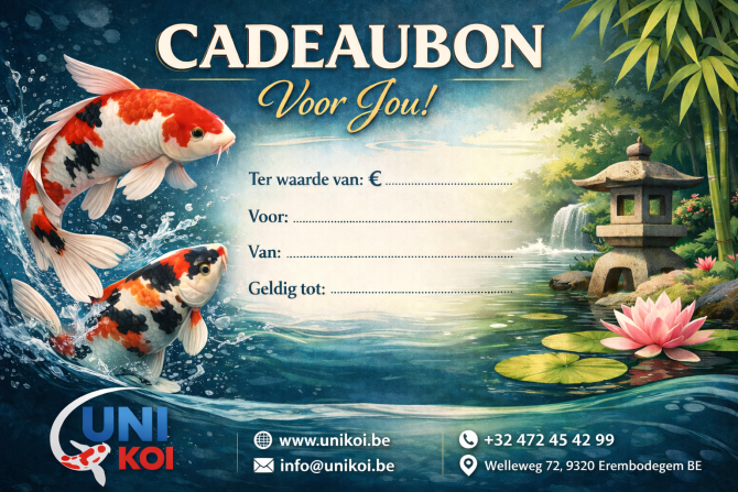 E2EAF763-B3F5-41AB-97E8-A74C3CD6B1B6