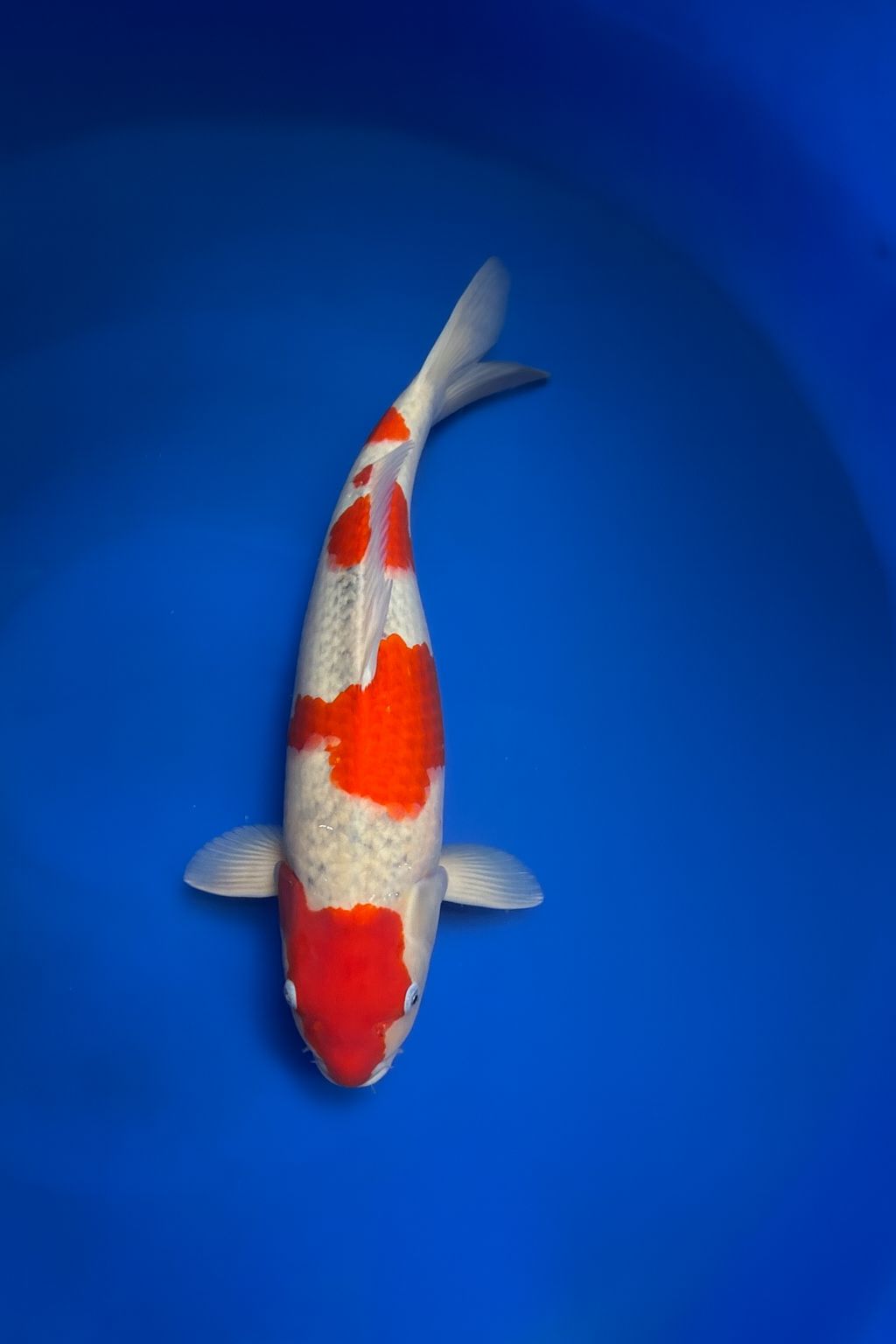 d325df24-97cc-4c59-9f81-14f615b94a0d