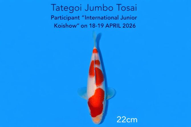 WhatsApp Image 2026-03-26 at 09.22.55 (1) WhatsApp Image 2026-03-26 at 09.22.55 (1)