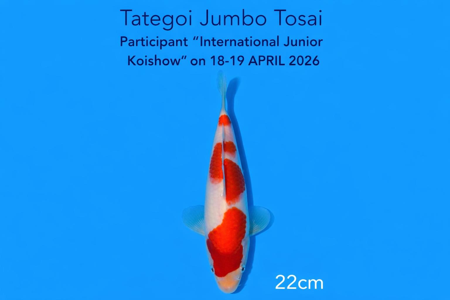 WhatsApp Image 2026-03-26 at 09.22.55 (1) WhatsApp Image 2026-03-26 at 09.22.55 (1)