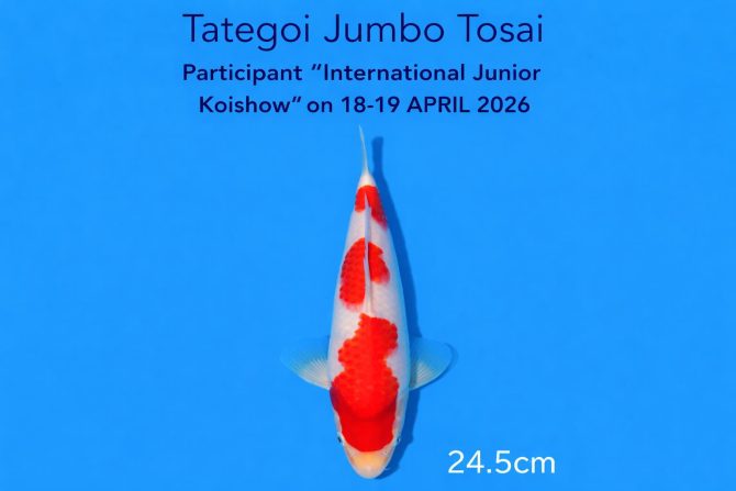 WhatsApp Image 2026-03-26 at 09.22.55 WhatsApp Image 2026-03-26 at 09.22.55