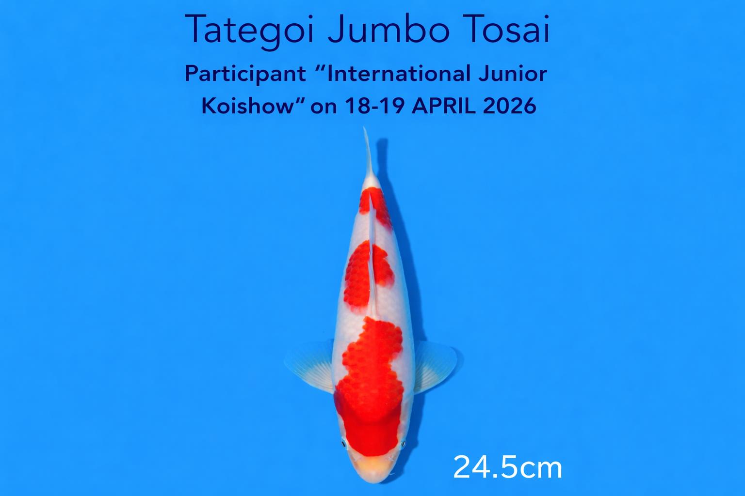 WhatsApp Image 2026-03-26 at 09.22.55 WhatsApp Image 2026-03-26 at 09.22.55