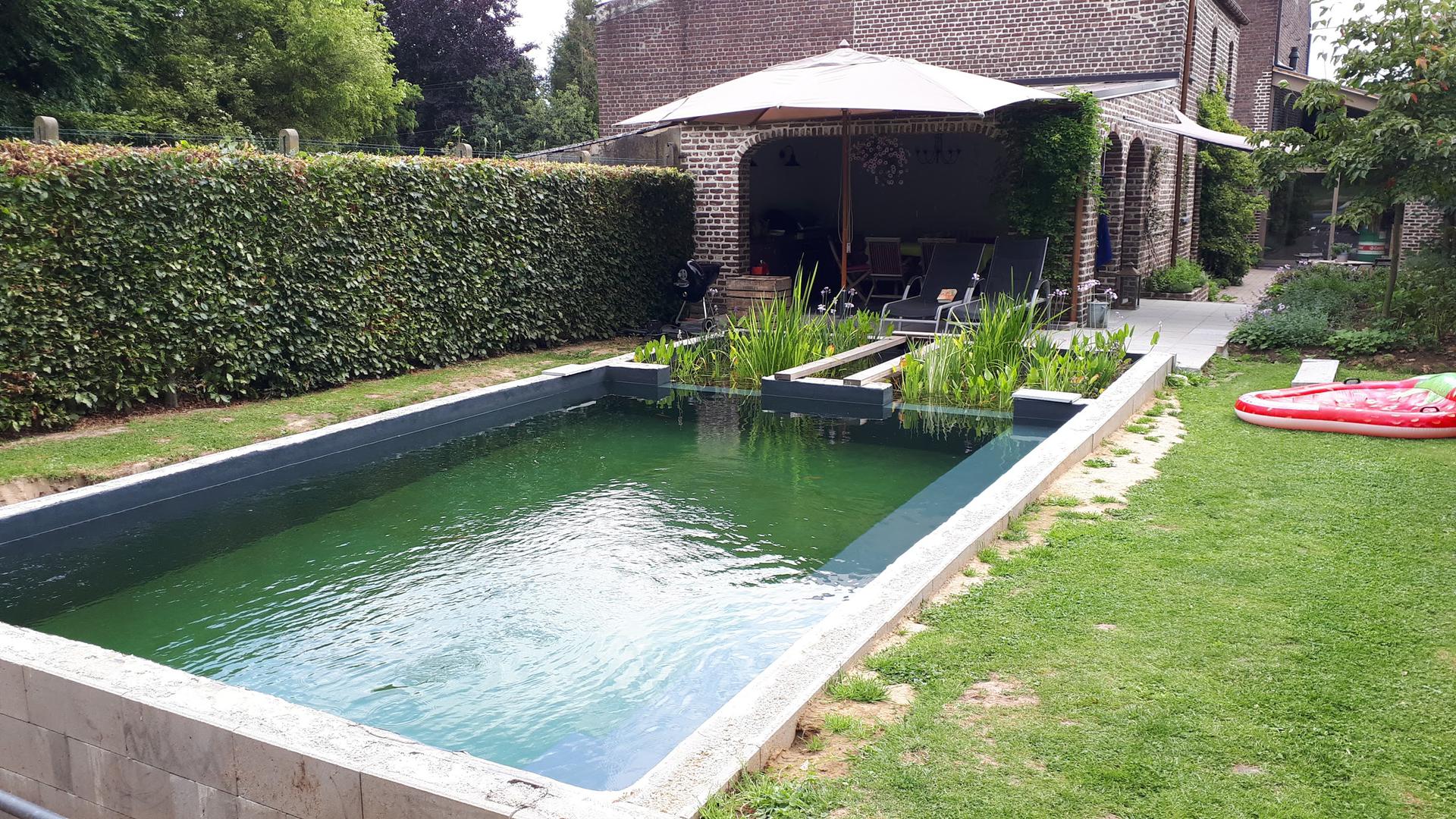 Natuurlijke zwemvijver met waterplanten aangelegd op de beste plek voor een vijver in de tuin