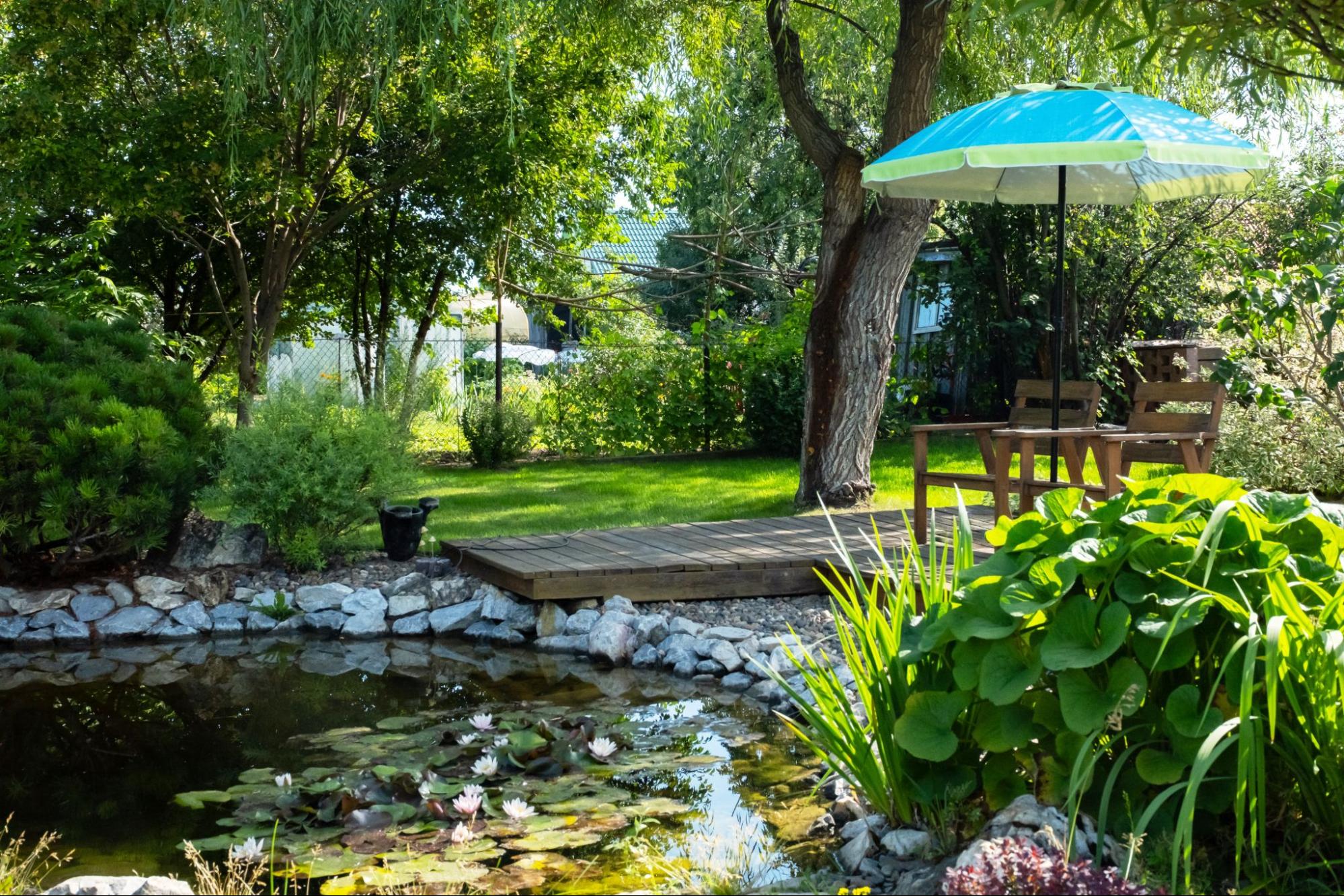 Rustige tuinvijver met terras en parasol op de beste plek voor een vijver in een groene tuin
