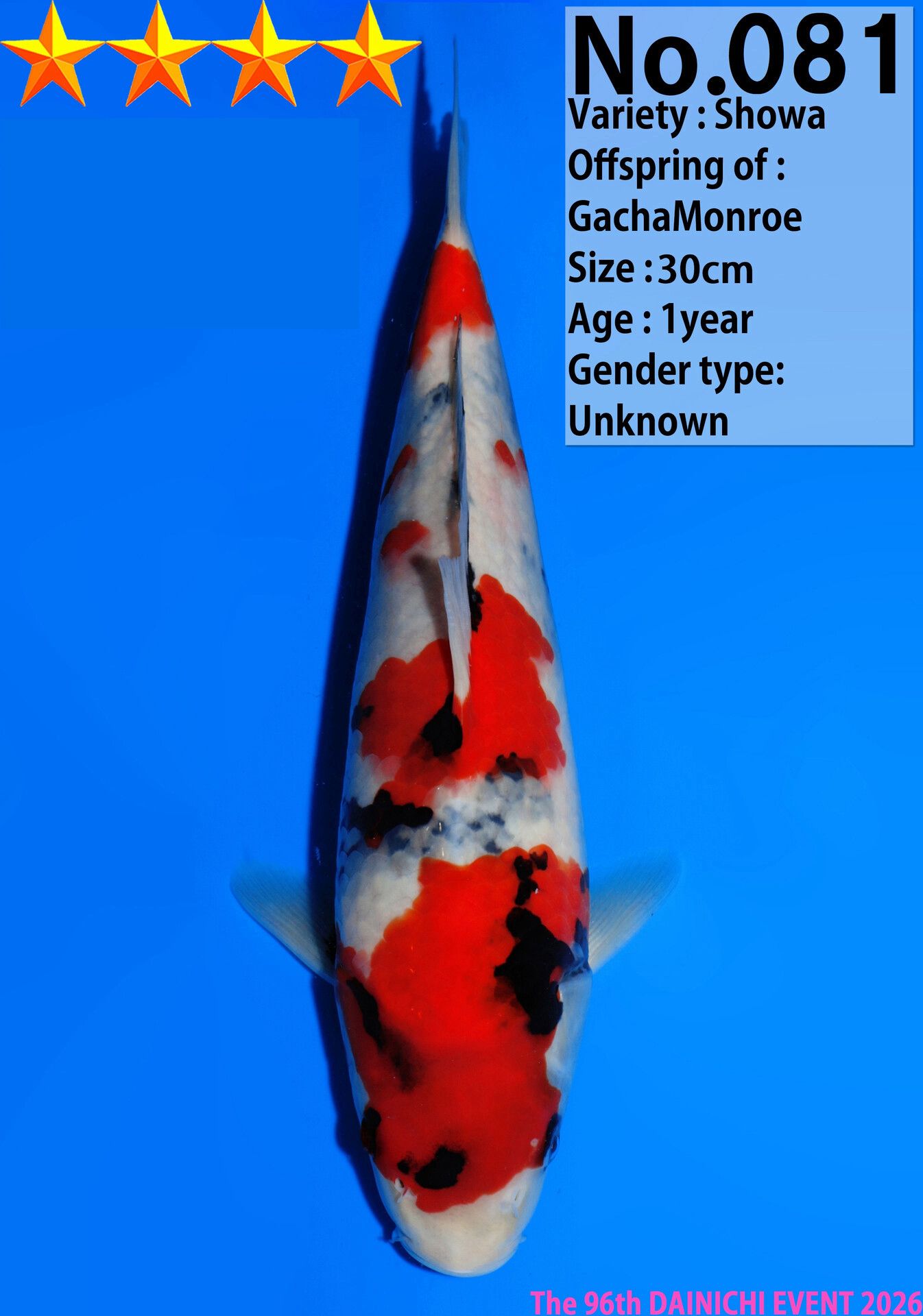 WhatsApp Image 2026-04-01 at 15.31.04 (1)