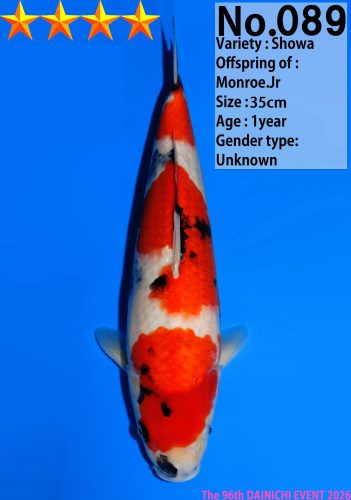 WhatsApp Image 2026-04-01 at 15.31.04 (2)