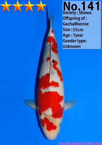 WhatsApp Image 2026-04-01 at 15.31.04 (3)