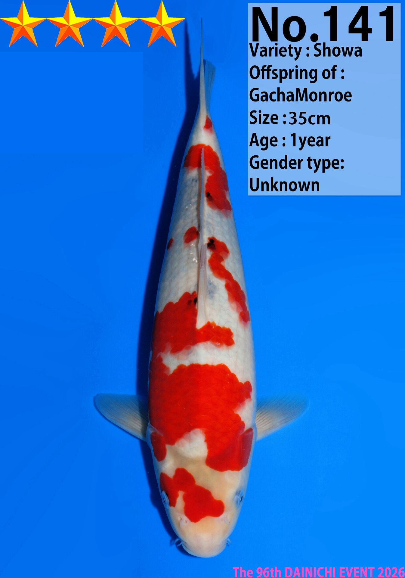 WhatsApp Image 2026-04-01 at 15.31.04 (3)