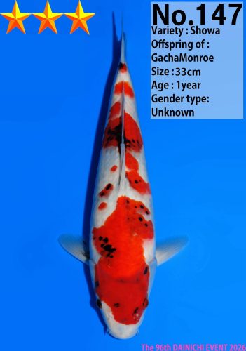 WhatsApp Image 2026-04-01 at 15.31.04 (4)