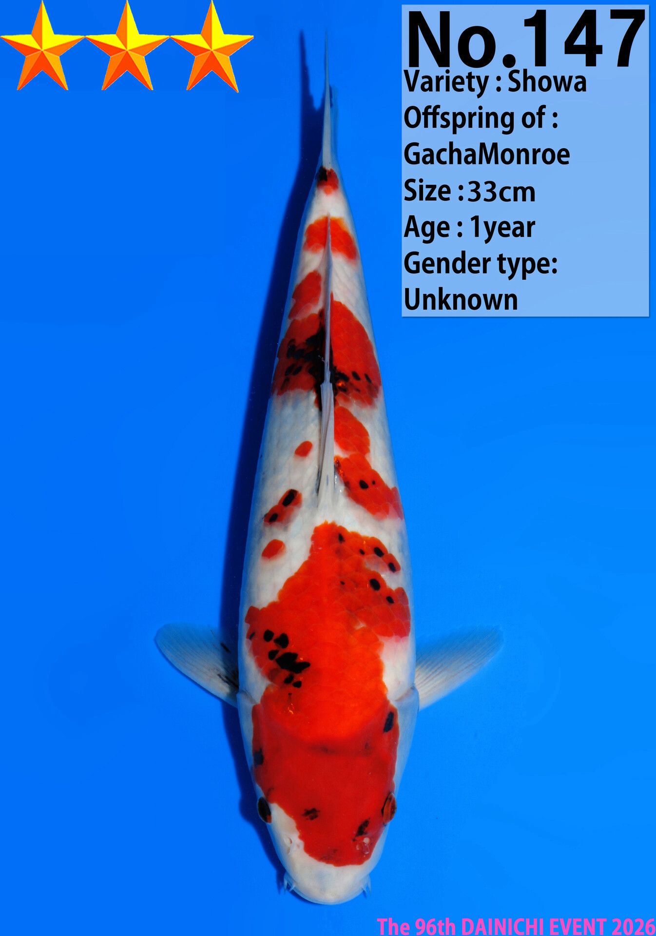 WhatsApp Image 2026-04-01 at 15.31.04 (4)