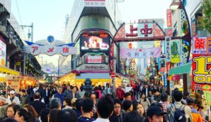 Japanreis voor selecteren van de beste koi