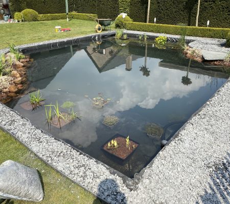 Koi-vijver met helder water, beplanting en natuurlijke inrichting als basis om van je tuin een koi-paradijs te maken