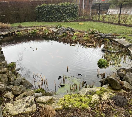 Koivijver die toe is aan een waterverversing voor betere waterkwaliteit