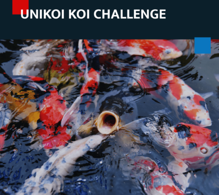 Unikoi koi challenge