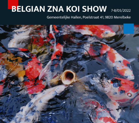 Belgian Koi Show